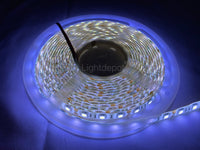 12V 5 Meter 12v Waterproof IP65 Led Strip Lights 300 Smd