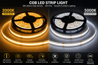 COB LED Strip Light 480 LEDs/m 16.4ft High Density Flexible Tape Ribbon RA90 Led Lights 24V